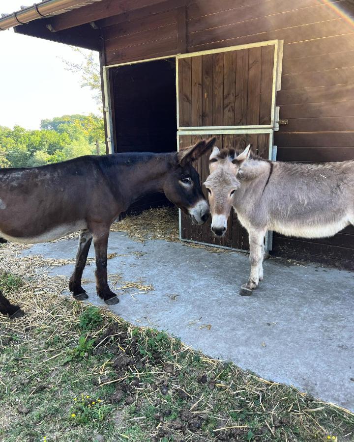 La Ferme Saint Pierre De Glabais Villa Genappe ภายนอก รูปภาพ